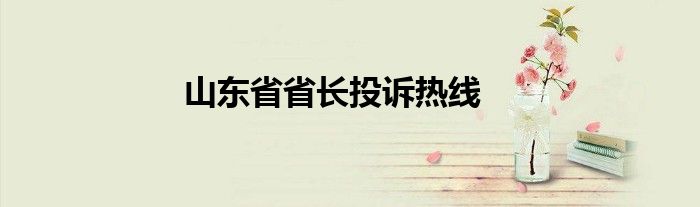山东省省长投诉热线