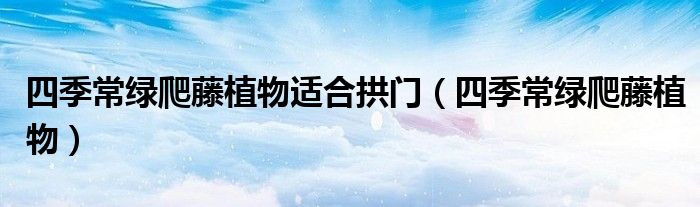 四季常绿爬藤植物适合拱门（四季常绿爬藤植物）