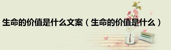 生命的价值是什么文案(生命的价值是什么)
