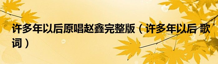 许多年以后原唱赵鑫完整版(许多年以后 歌词)