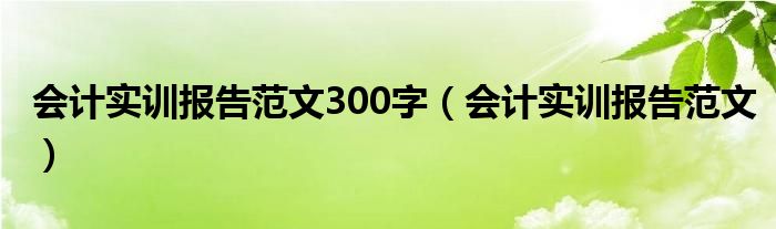 会计实训报告范文300字(会计实训报告范文)