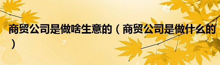 商贸公司是做啥生意的(商贸公司是做什么的)