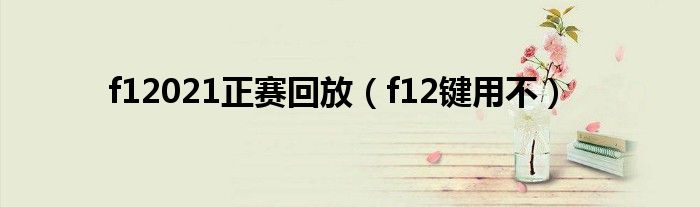 f12021正赛回放(f12键用不)