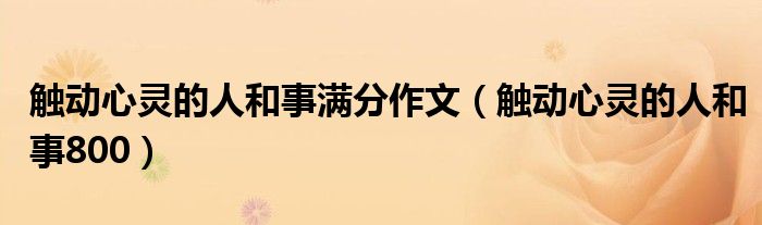 触动心灵的人和事满分作文(触动心灵的人和事800)