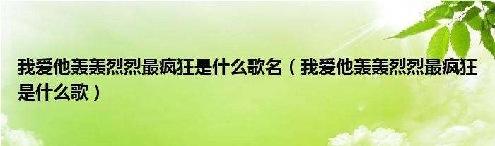 我爱他轰轰烈烈最疯狂是什么歌名(我爱他轰轰烈烈最疯狂是什么歌)