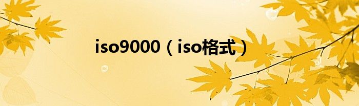 iso9000(iso格式)