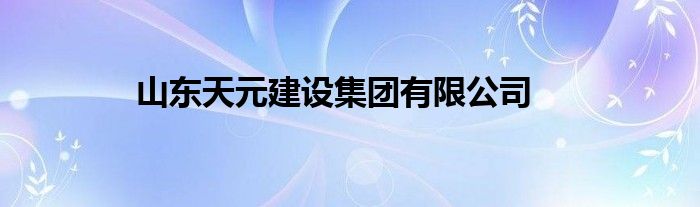 山东天元建设集团有限公司