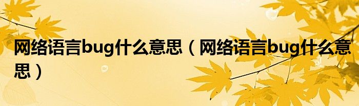 网络语言bug什么意思(网络语言bug什么意思)
