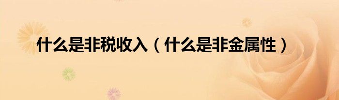 什么是非税收入(什么是非金属性)