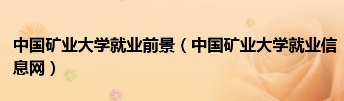 中国矿业大学就业前景(中国矿业大学就业信息网)