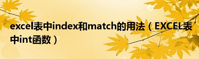 excel表中index和match的用法(EXCEL表中int函数)