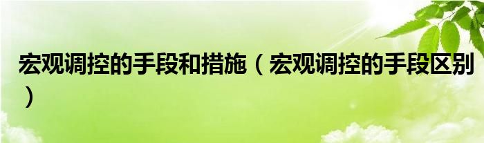 宏观调控的手段和措施(宏观调控的手段区别)