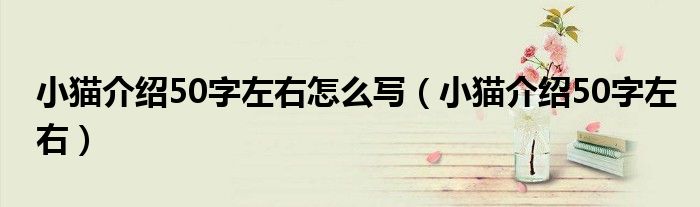 小猫介绍50字左右怎么写(小猫介绍50字左右)