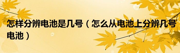 怎样分辨电池是几号(怎么从电池上分辨几号电池)
