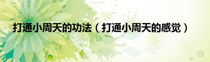 打通小周天的功法(打通小周天的感觉)