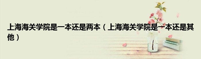 上海海关学院是一本还是两本(上海海关学院是一本还是其他)