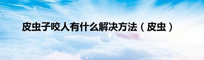 皮虫子咬人有什么解决方法(皮虫)