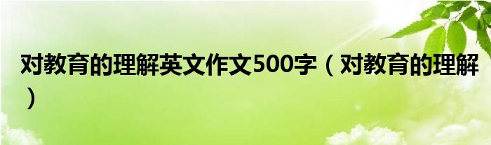 对教育的理解英文作文500字（对教育的理解）