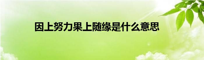 因上努力果上随缘是什么意思