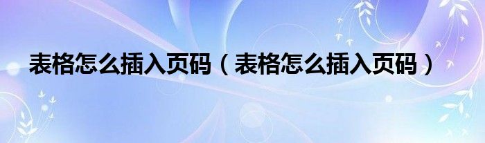 表格怎么插入页码(表格怎么插入页码)