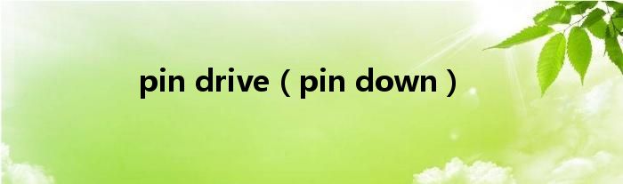 pin drive(pin down)