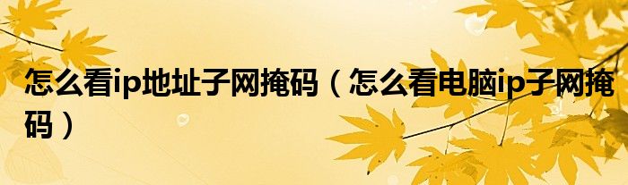 怎么看ip地址子网掩码(怎么看电脑ip子网掩码)