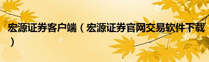宏源证券客户端(宏源证券官网交易软件下载)