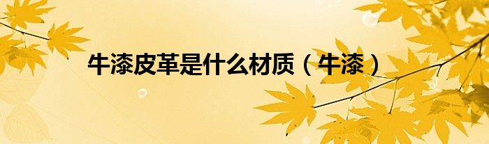 牛漆皮革是什么材质（牛漆）