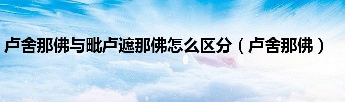卢舍那佛与毗卢遮那佛怎么区分(卢舍那佛)