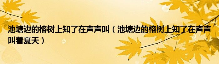 池塘边的榕树上知了在声声叫(池塘边的榕树上知了在声声叫着夏天)