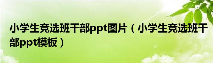 小学生竞选班干部ppt图片(小学生竞选班干部ppt模板)