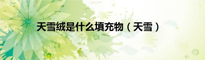 天雪绒是什么填充物(天雪)