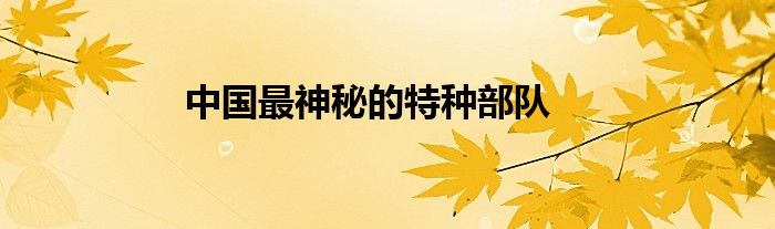 中国最神秘的特种部队