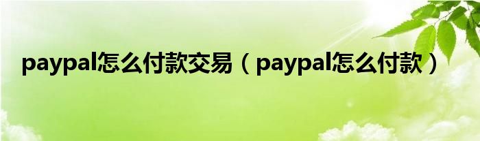 paypal怎么付款交易(paypal怎么付款)