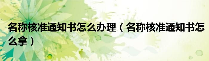 名称核准通知书怎么办理(名称核准通知书怎么拿)