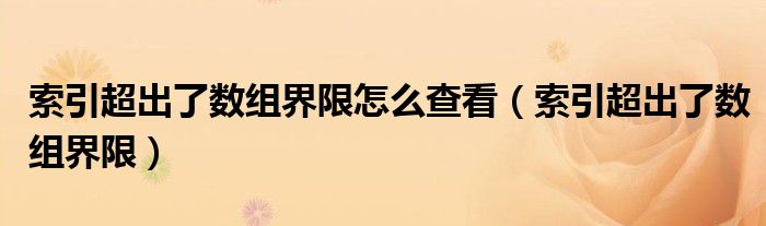 索引超出了数组界限怎么查看(索引超出了数组界限)