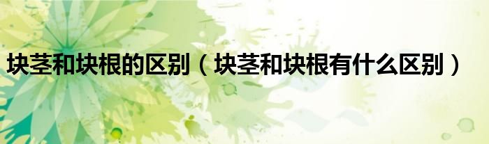 块茎和块根的区别(块茎和块根有什么区别)
