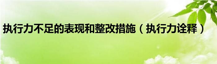 执行力不足的表现和整改措施(执行力诠释)