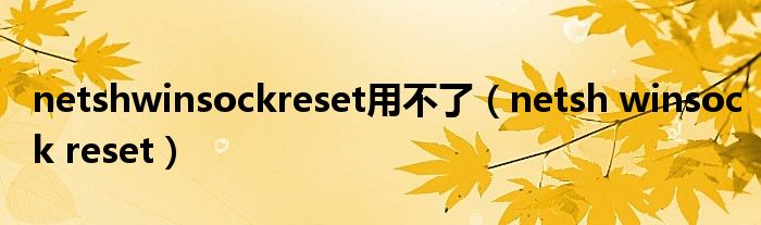 netshwinsockreset用不了(netsh winsock reset)