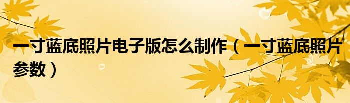 一寸蓝底照片电子版怎么制作(一寸蓝底照片参数)