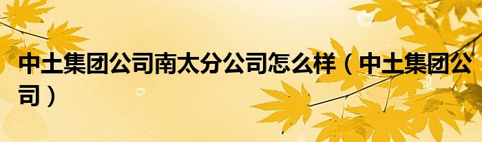 中土集团公司南太分公司怎么样(中土集团公司)