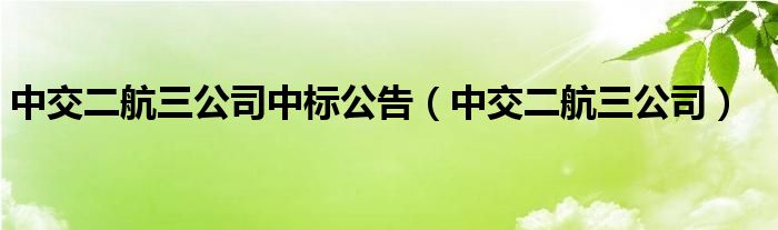 中交二航三公司中标公告（中交二航三公司）