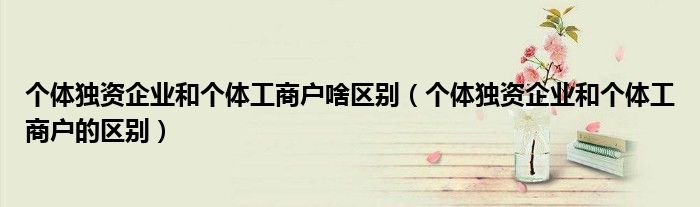 个体独资企业和个体工商户啥区别(个体独资企业和个体工商户的区别)
