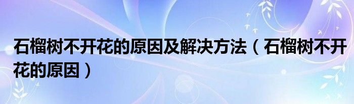 石榴树不开花的原因及解决方法（石榴树不开花的原因）