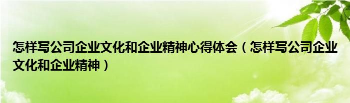 怎样写公司企业文化和企业精神心得体会(怎样写公司企业文化和企业精神)