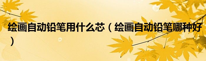 绘画自动铅笔用什么芯(绘画自动铅笔哪种好)
