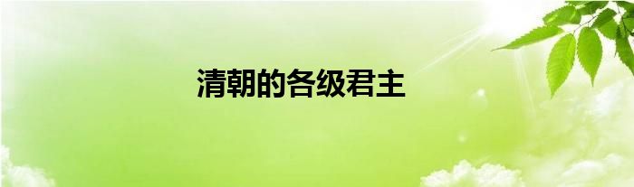 清朝的各级君主