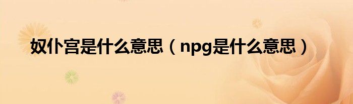 奴仆宫是什么意思(npg是什么意思)