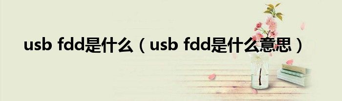 usb fdd是什么(usb fdd是什么意思)