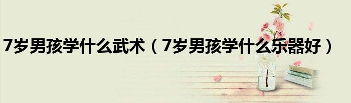 7岁男孩学什么武术（7岁男孩学什么乐器好）